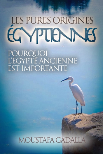 Couverture du livre L'origine égyptienne intacte Pourquoi l'Egypte ancienne est importante